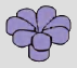 Small flower head with 5 rounded petals